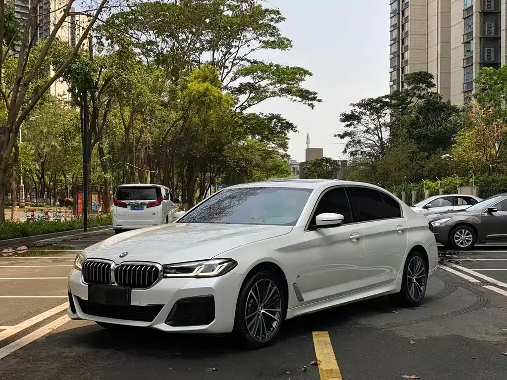 BMW 5 Series 530Li Executive Luxury 1