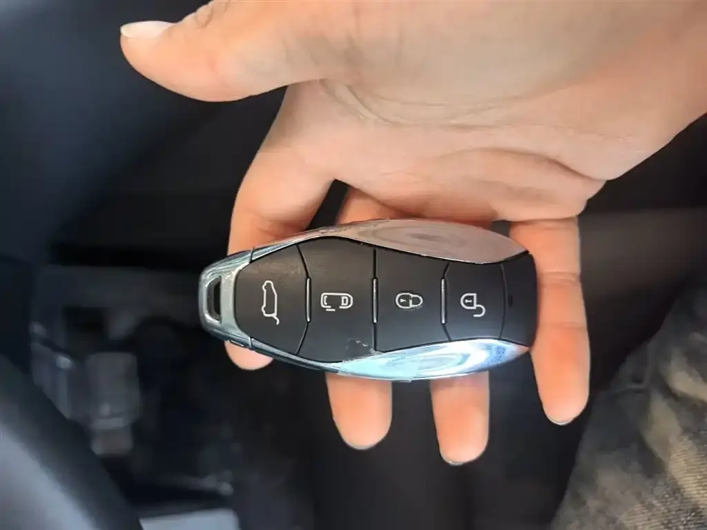 Hongqi HQ9 PHEV 2024 из CN, фото 6