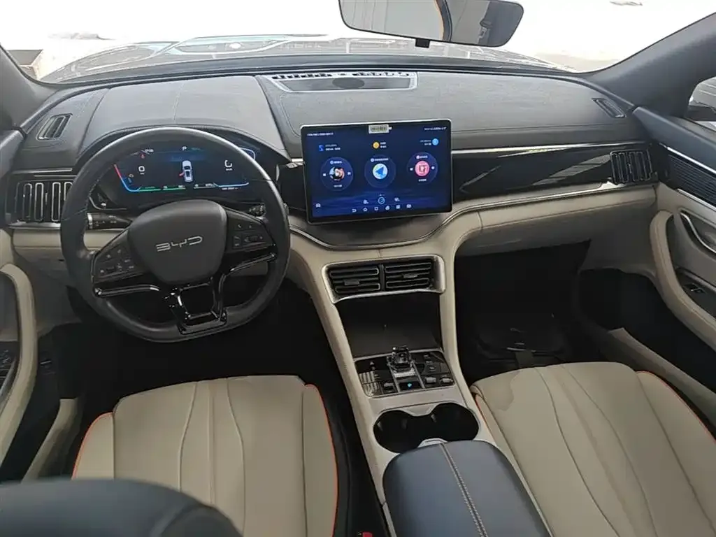 BYD PLUS New Energy — фото 10