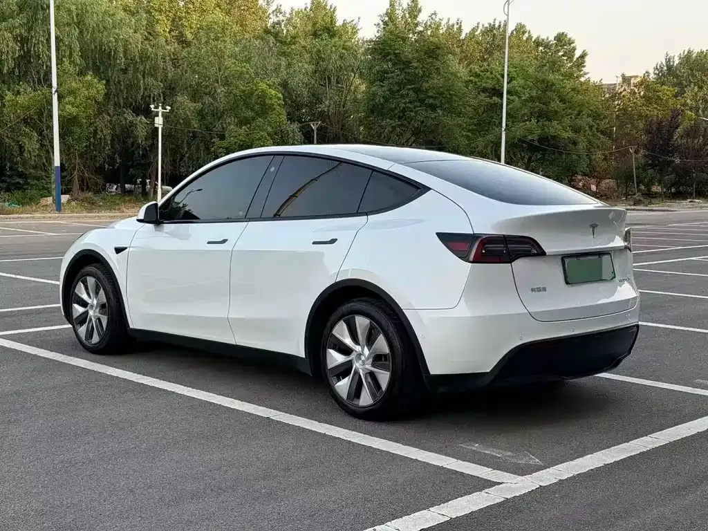 Tesla Model Y — фото 9