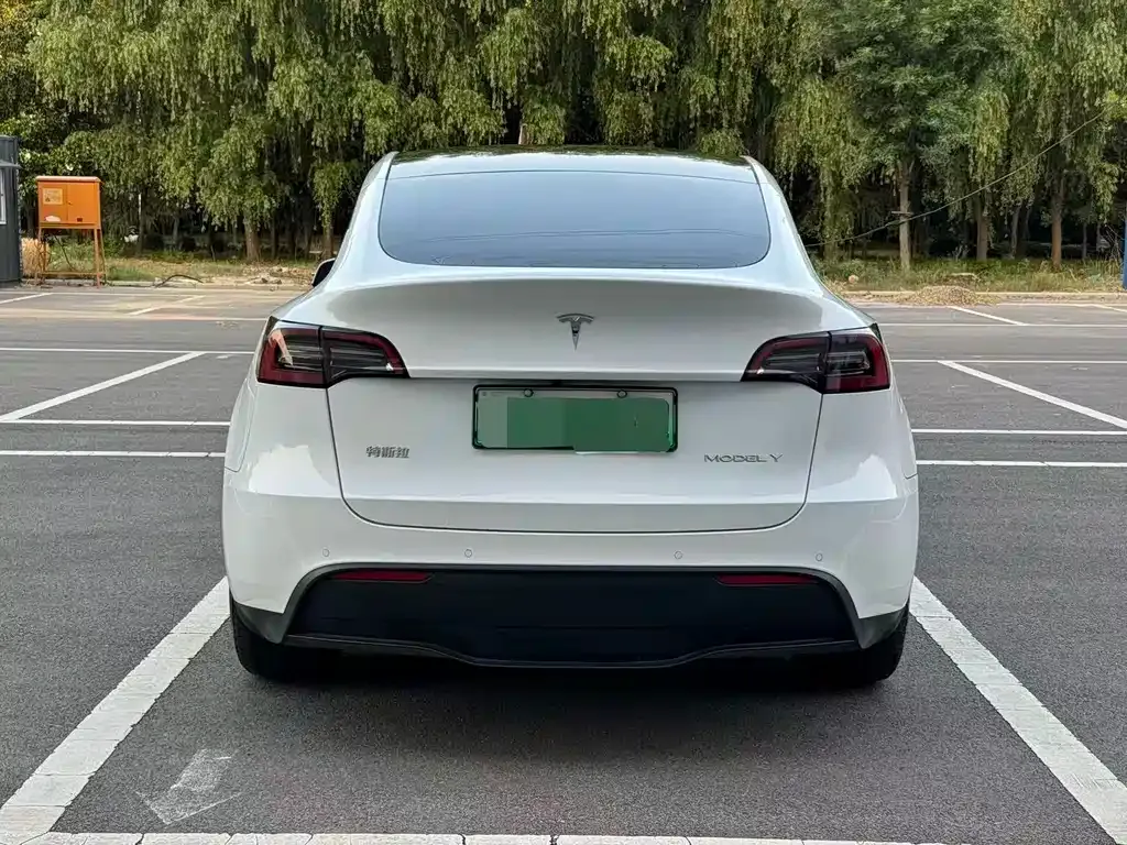 Tesla Model Y — фото 5