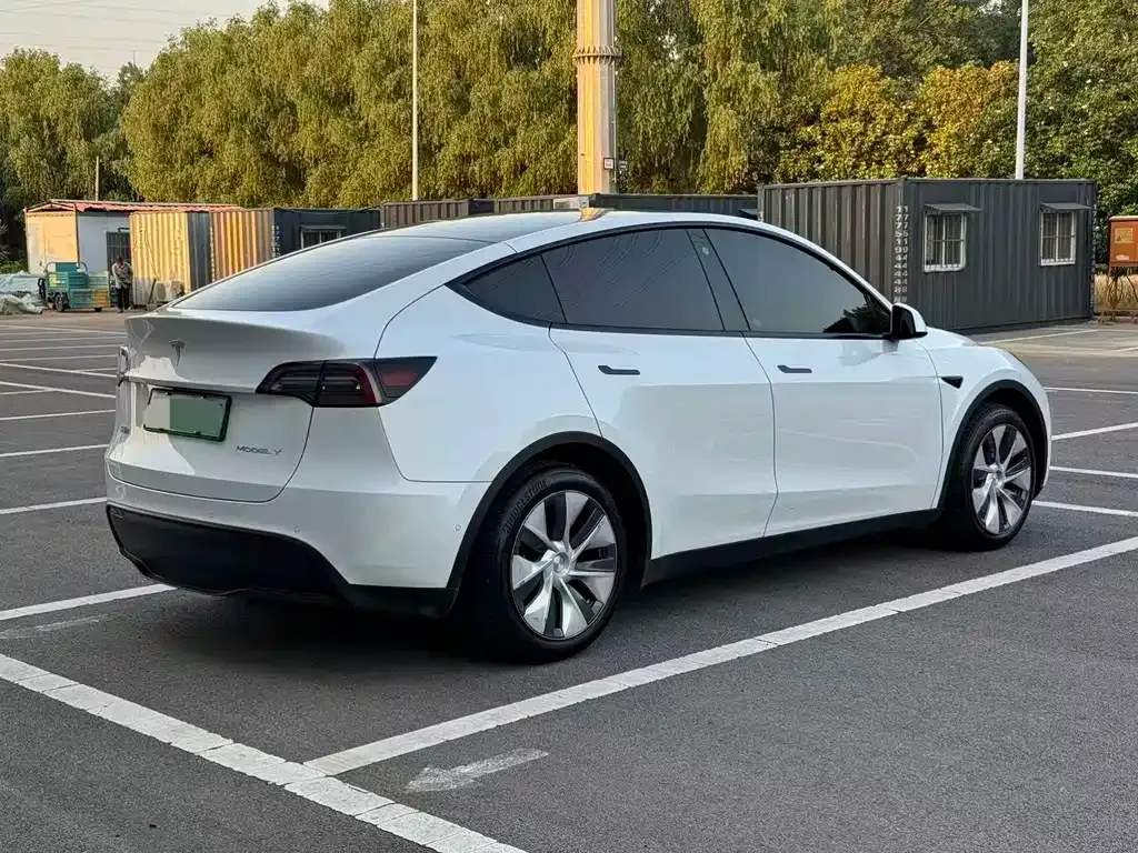 Tesla Model Y — фото 10