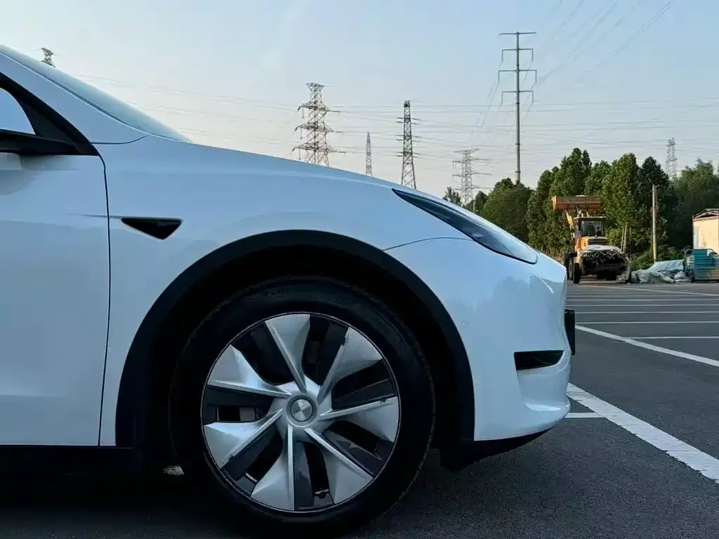 Tesla Model Y — фото 6
