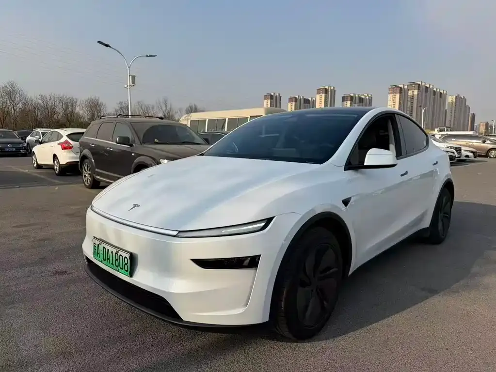 Tesla Model Y — фото 1