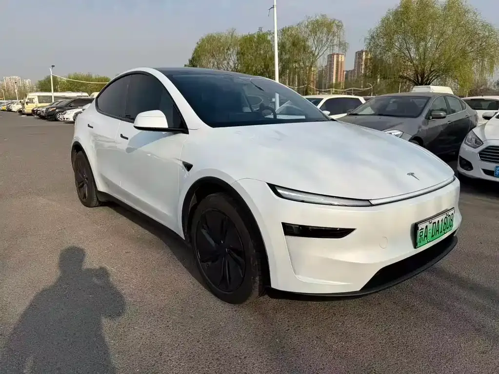 Tesla Model Y — фото 6