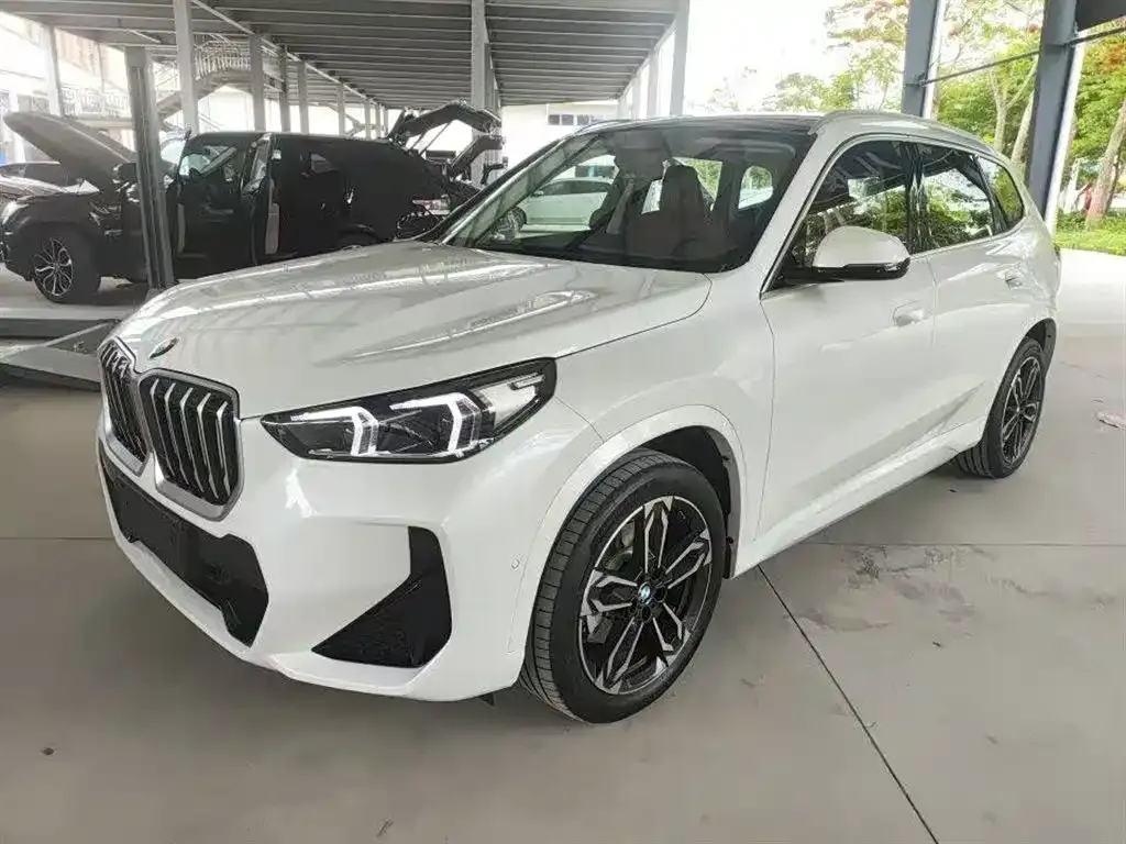 BMW X1 — фото 6