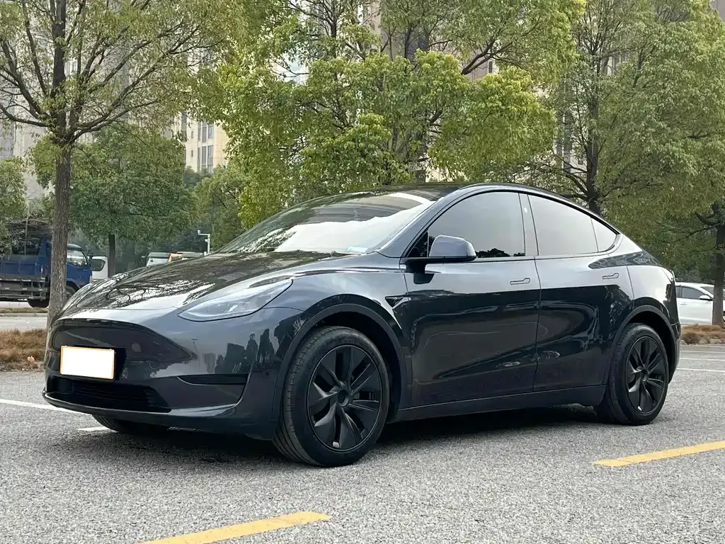 Tesla Model Y — фото 1