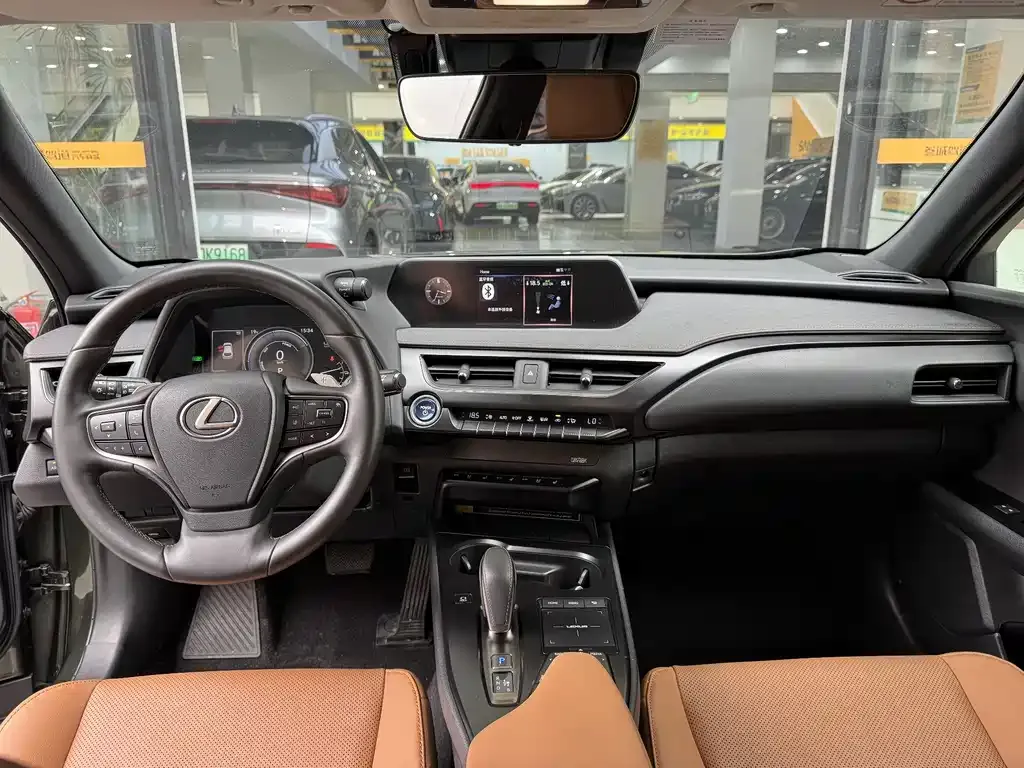 Lexus UX New Energy — фото 10