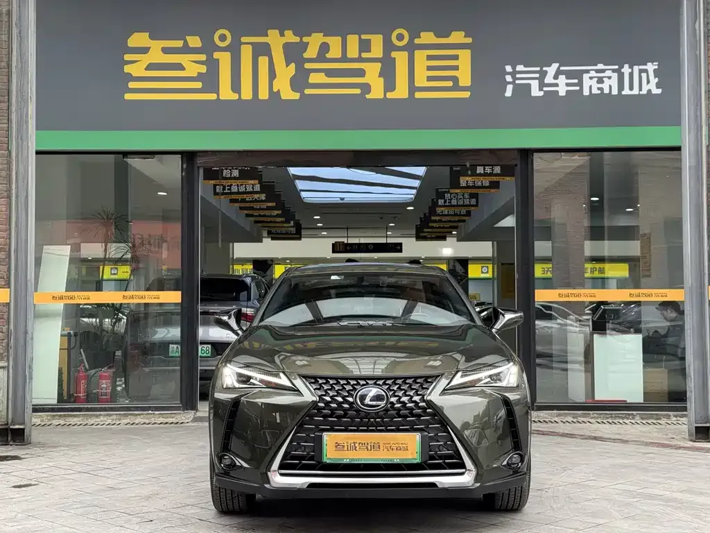 Lexus UX New Energy — фото 9