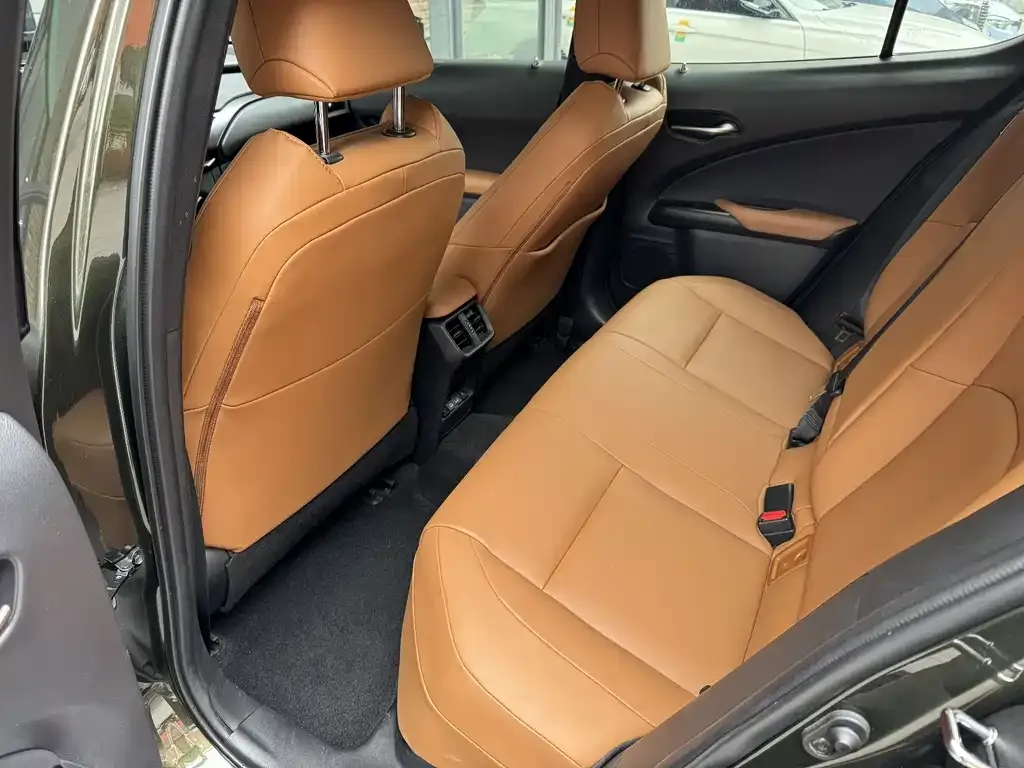 Lexus UX New Energy — фото 5