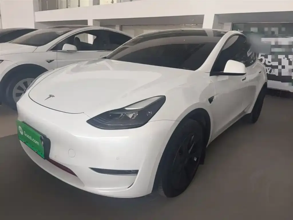 Tesla Model Y 2024 из CN, фото 6