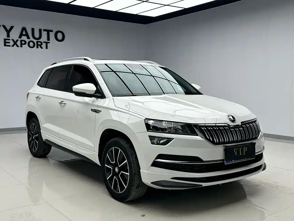 Skoda Karoq — фото 5