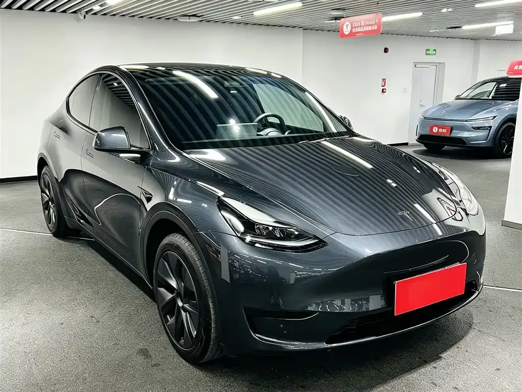 Tesla Model Y — фото 8
