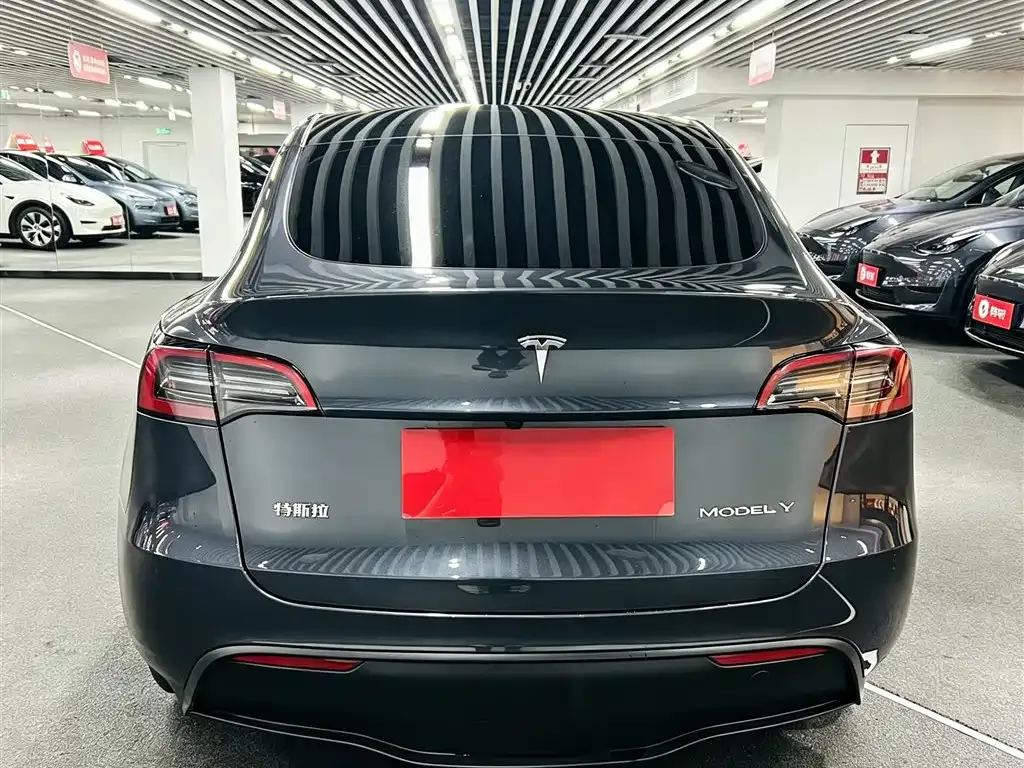 Tesla Model Y — фото 4