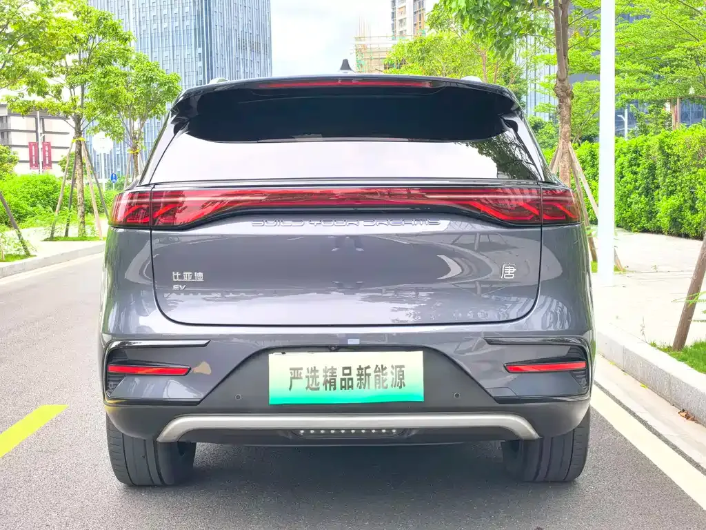 BYD Tang New Energy — фото 6