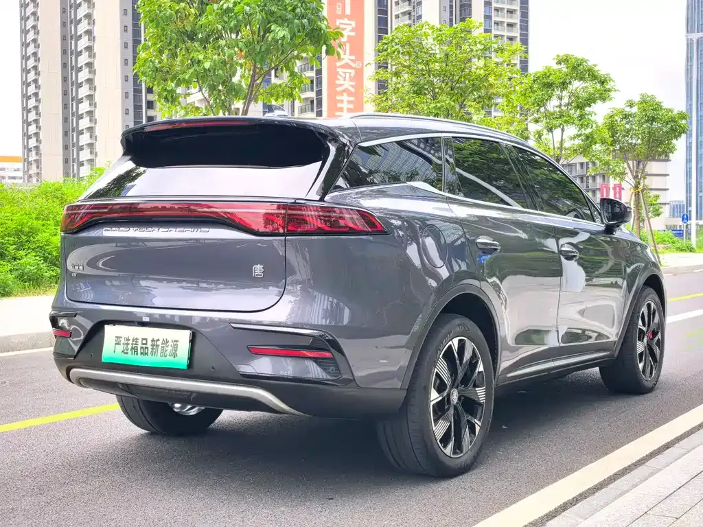 BYD Tang New Energy — фото 8