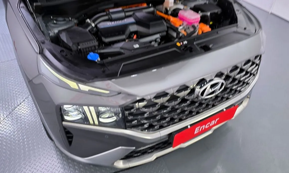 Hyundai Santafe 2022 из KR, фото 4