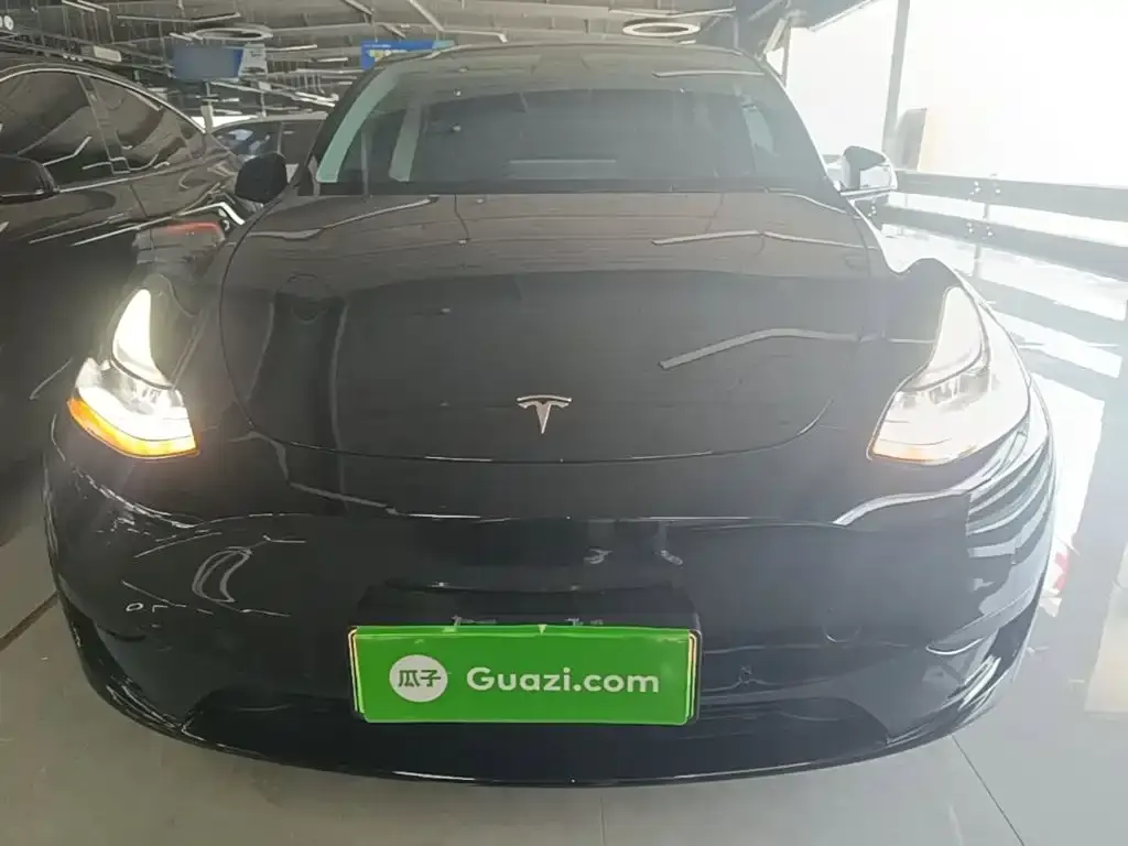 Tesla Model Y — фото 10