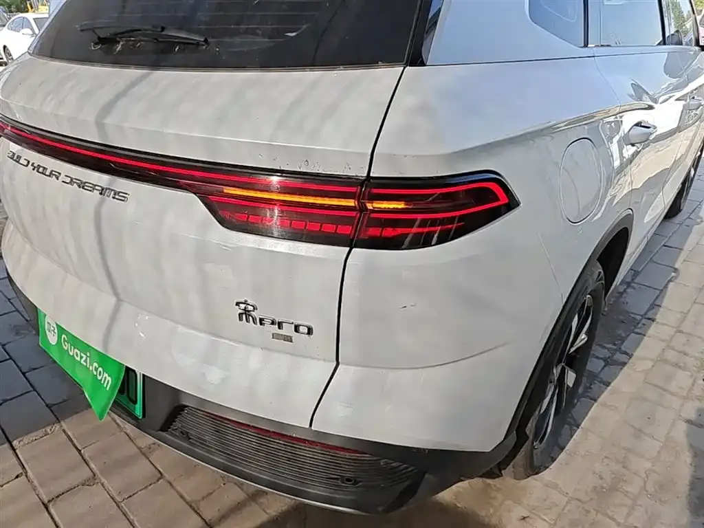 BYD Pro New Energy — фото 5