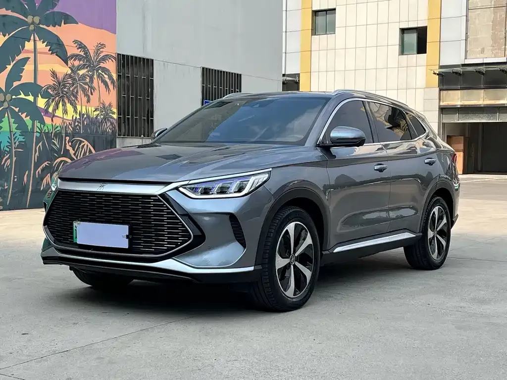 BYD PLUS New Energy — фото 1