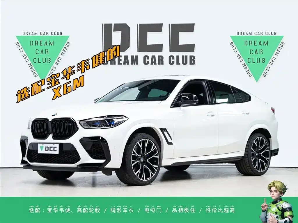 BMW X6 M