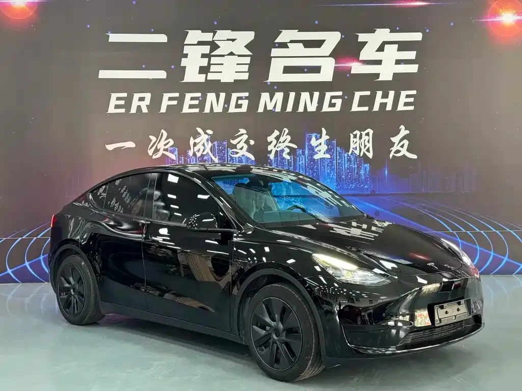 Tesla Model Y — фото 10