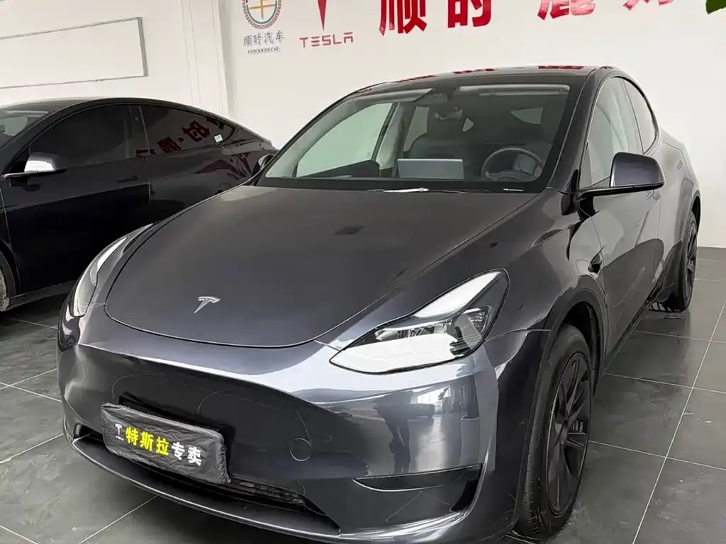 Tesla Model Y — фото 1