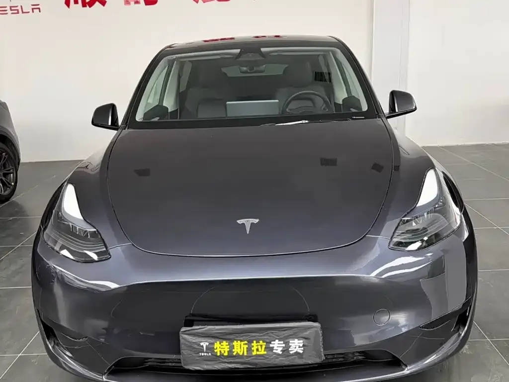 Tesla Model Y — фото 7