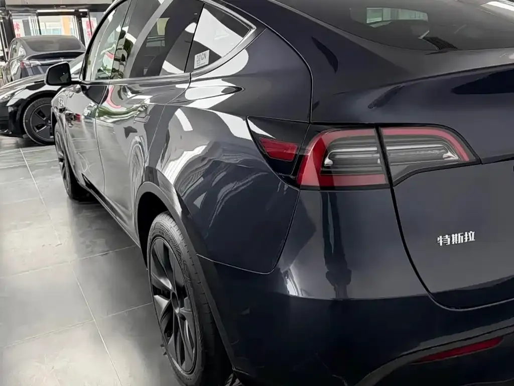 Tesla Model Y — фото 9