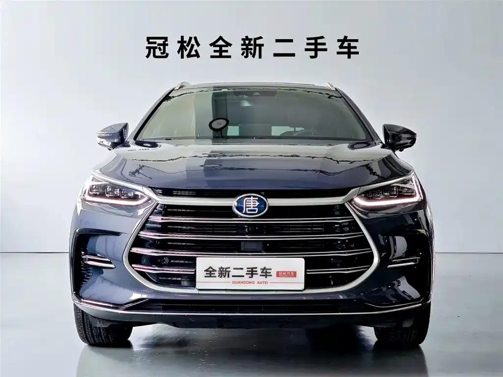 BYD Tang New Energy — фото 10