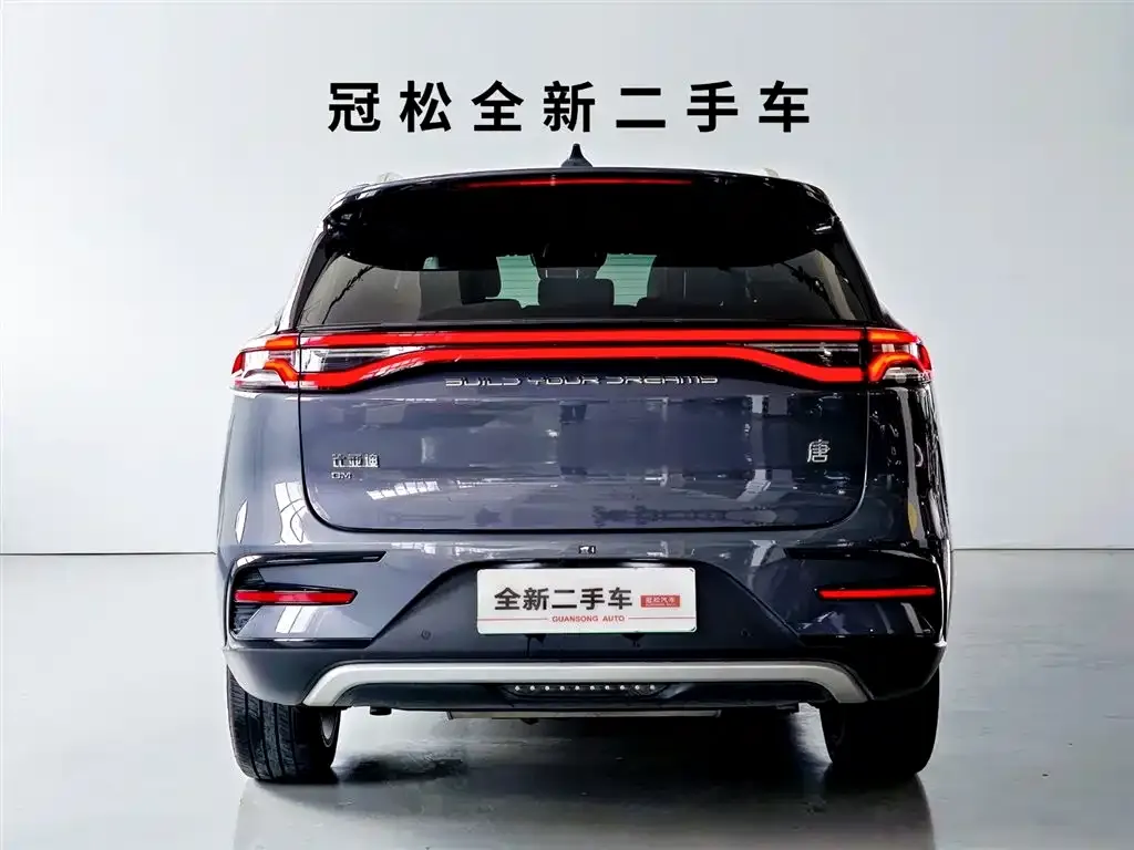 BYD Tang New Energy — фото 3