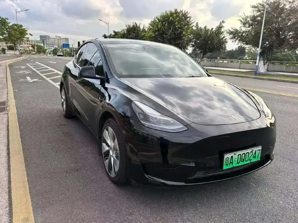 Tesla Model Y — фото 8