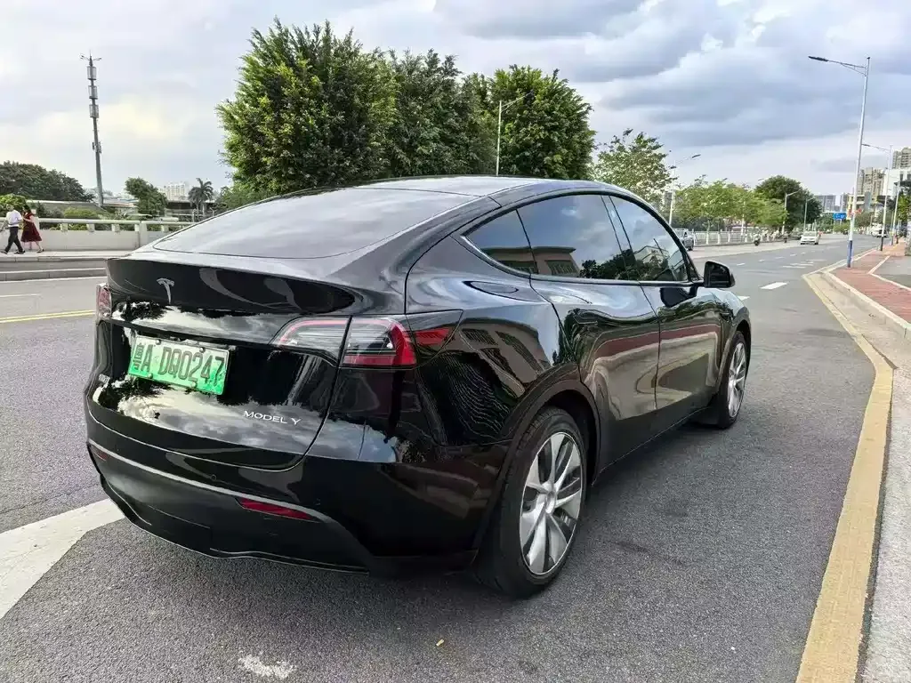 Tesla Model Y — фото 6