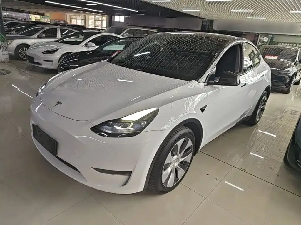 Tesla Model Y — фото 1