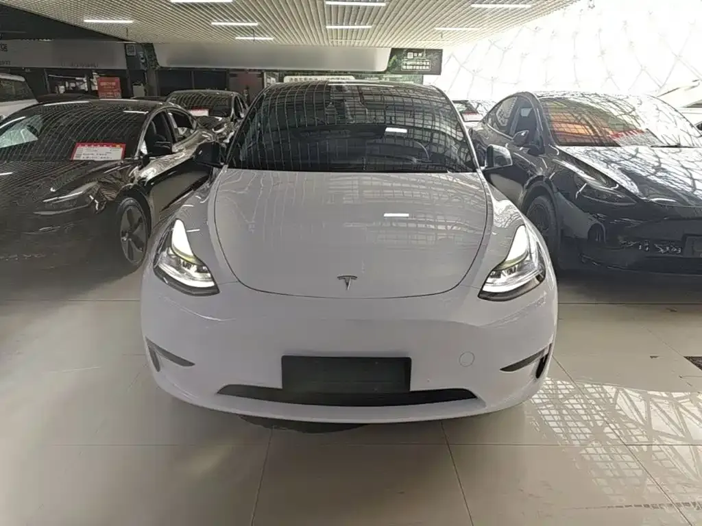 Tesla Model Y — фото 8