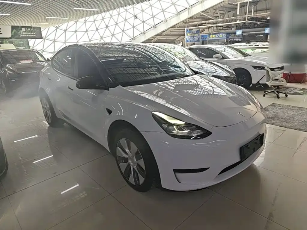 Tesla Model Y — фото 7
