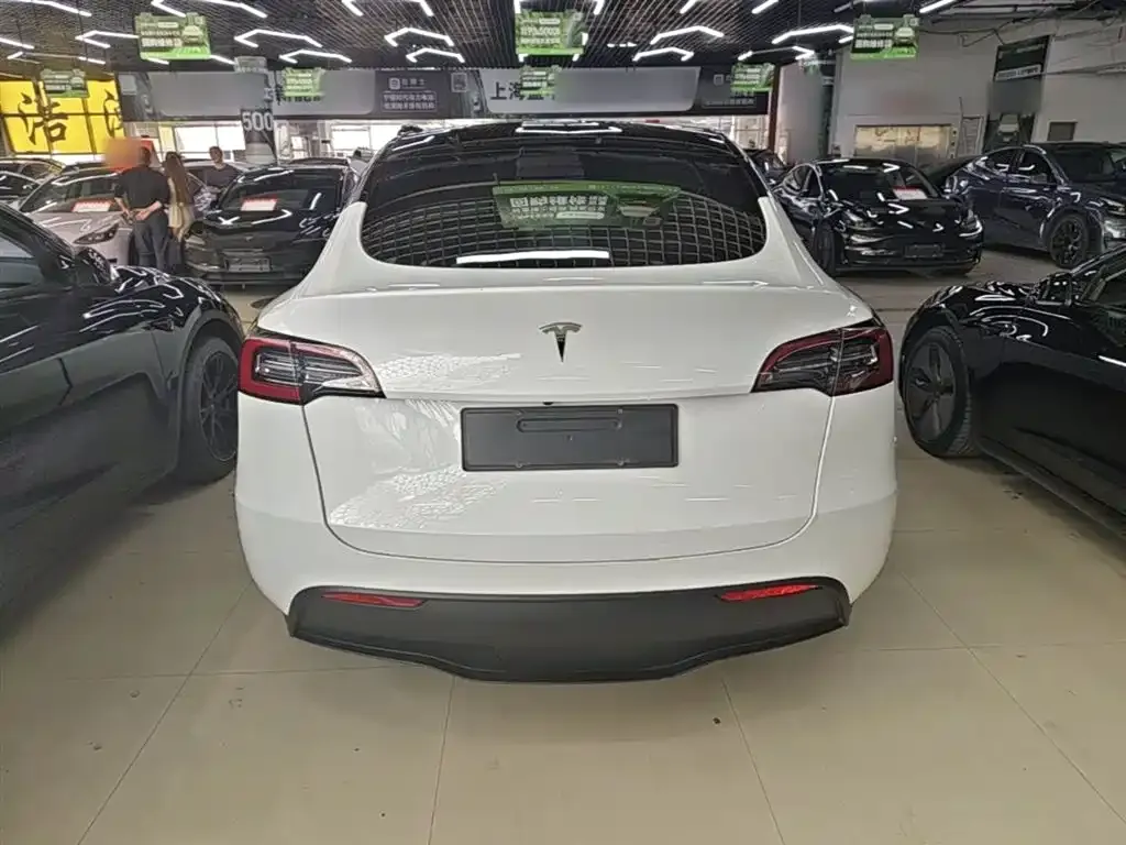 Tesla Model Y — фото 10