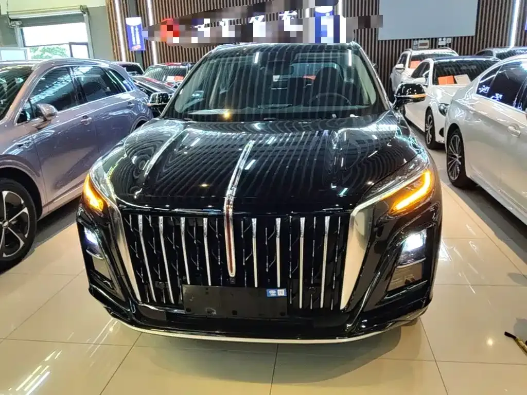 Hongqi HS3 PHEV — фото 8