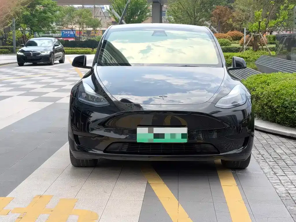 Tesla Model Y — фото 1