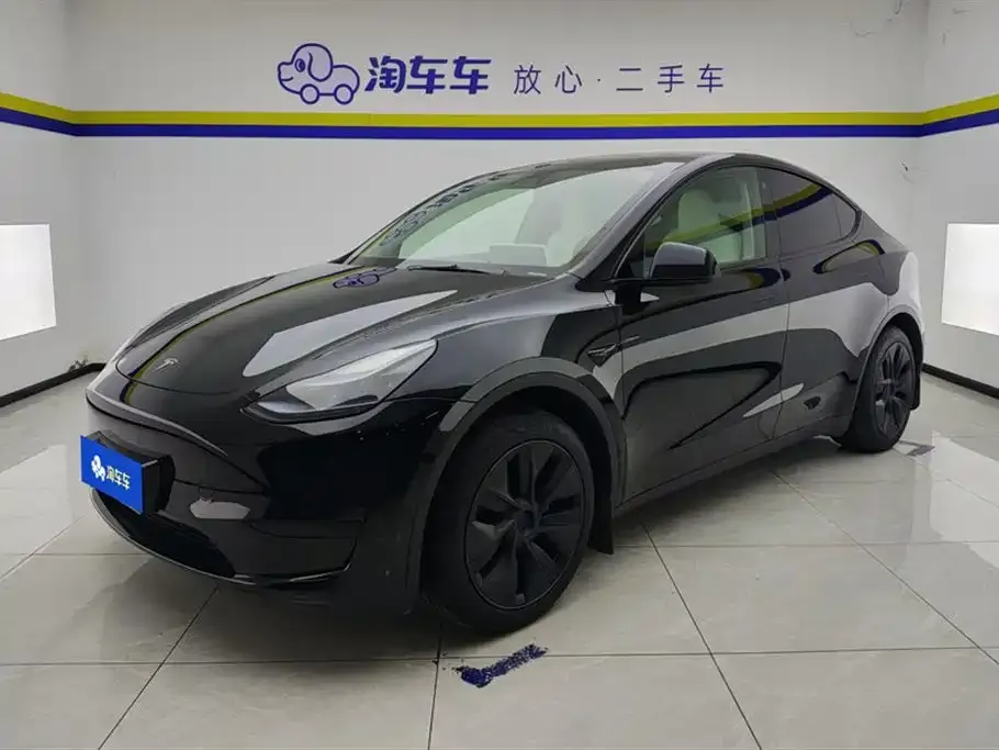 Tesla Model Y — фото 1