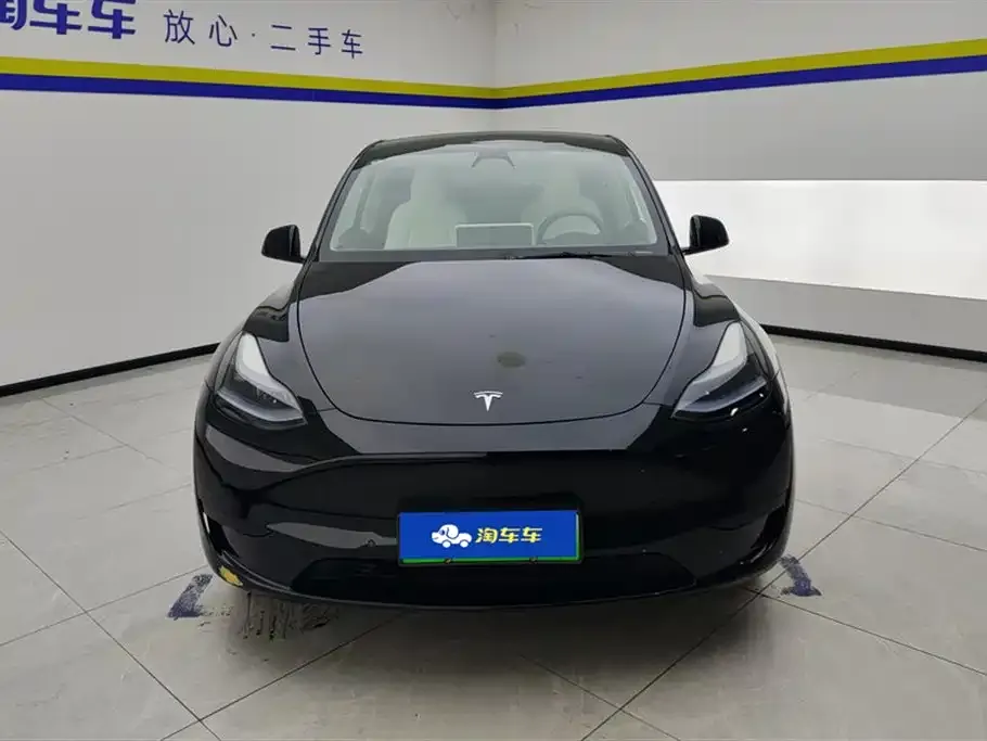 Tesla Model Y — фото 10