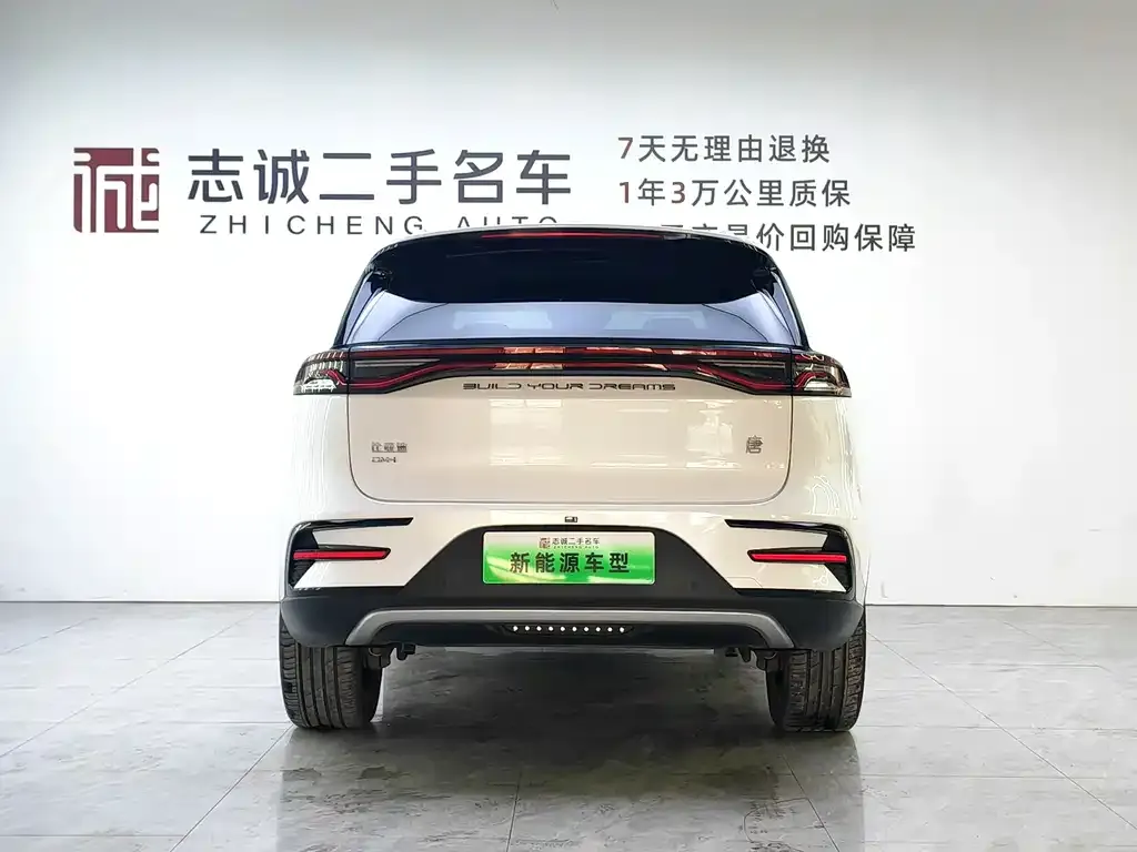 BYD Tang New Energy — фото 3