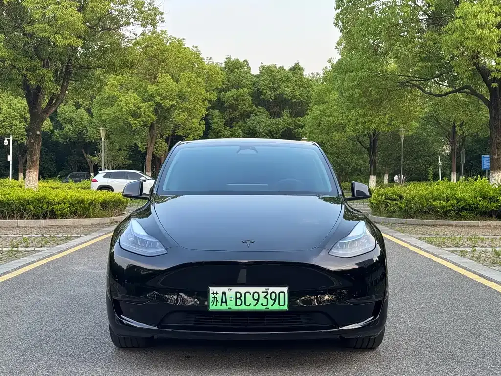 Tesla Model Y — фото 8