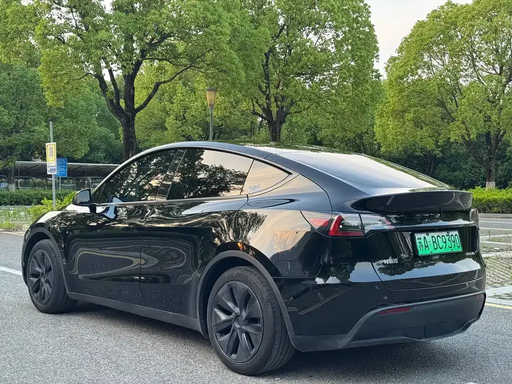 Tesla Model Y — фото 9