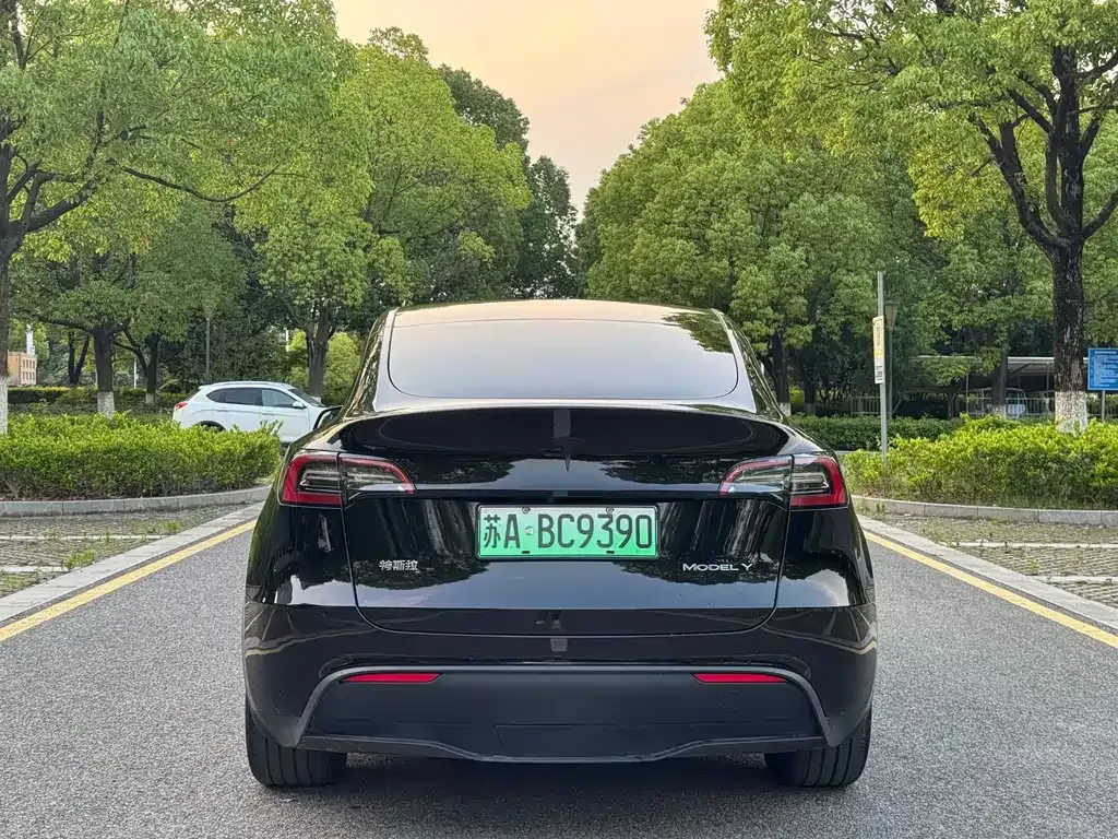 Tesla Model Y — фото 7