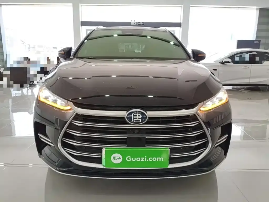 BYD Tang New Energy 2024 из CN, фото 6