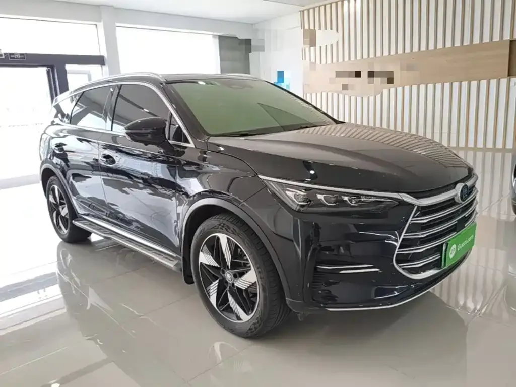 BYD Tang New Energy 2024 из CN, фото 9