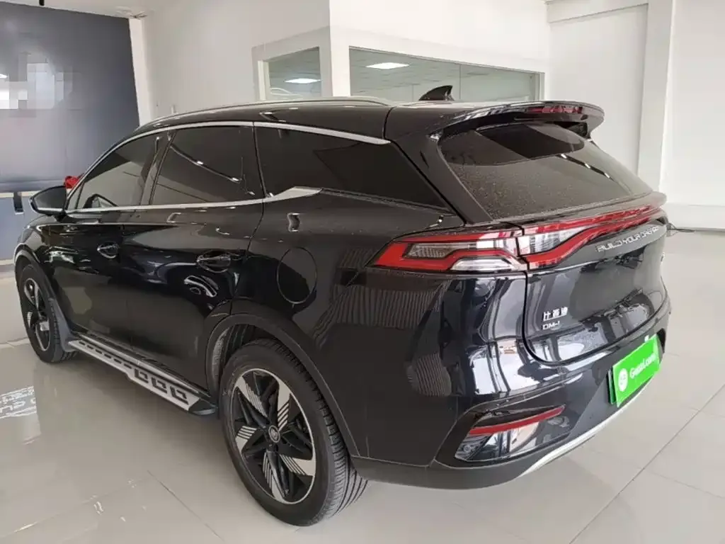 BYD Tang New Energy 2024 из CN, фото 7