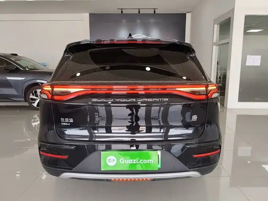 BYD Tang New Energy 2024 из CN, фото 5