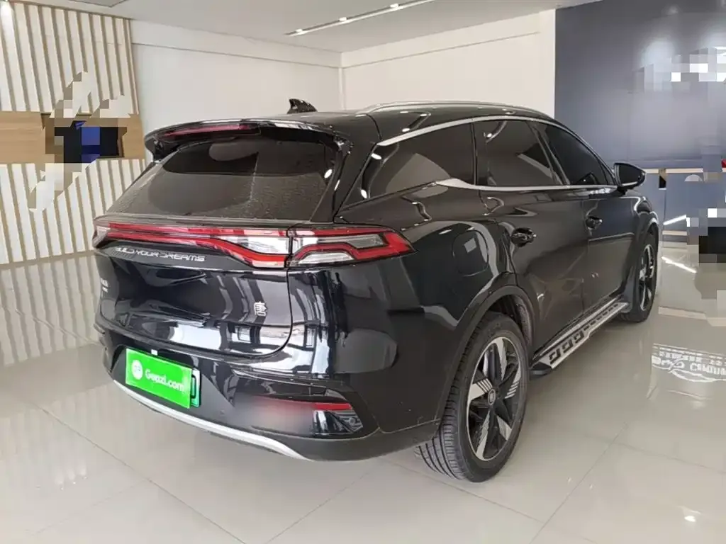 BYD Tang New Energy 2024 из CN, фото 3